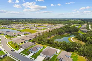 5904 114th Dr E, Parrish, FL 34219 - Photo 61