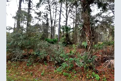Lady Slipper Ave., North Port, FL 34291 - Photo 1