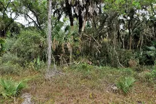 Hurdle Rd, North Port, FL 34291 - Photo 1