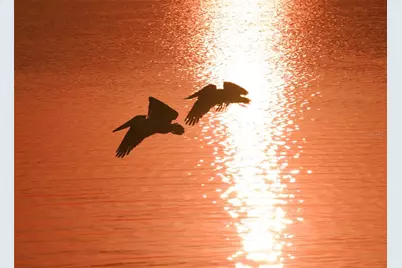 4840 Gulf Of Mexico Drive #Villa 15, Longboat Key, FL 34228 - Photo 73