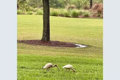 8403 Grand Estuary Trail #102, Bradenton, FL 34212 - Photo 3