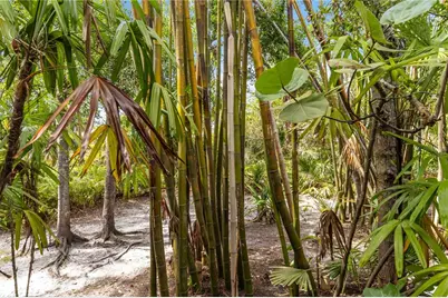 642 N Jefferson Avenue #13, Sarasota, FL 34237 - Photo 31