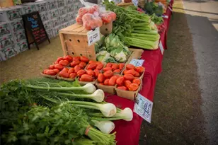 8422 Wethersfield Run, Lakewood Ranch, FL 34202 - Photo 91