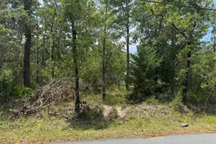 Lot 62 Michigan Ave, Weeki Wachee, FL 34613 - Photo 1