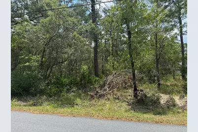 Lot 62 Michigan Avenue, Weeki Wachee, FL 34613 - Photo 3