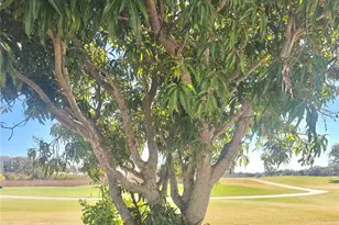 834 Springwood Cir, Bradenton, FL 34212 - Photo 43