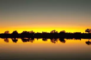 834 Springwood Cir, Bradenton, FL 34212 - Photo 41