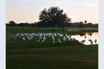 834 Springwood Circle, Bradenton, FL 34212 - Photo 47