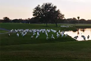 834 Springwood Cir, Bradenton, FL 34212 - Photo 47