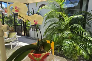 4425 Lords Dr, Sarasota, FL 34231 - Photo 35