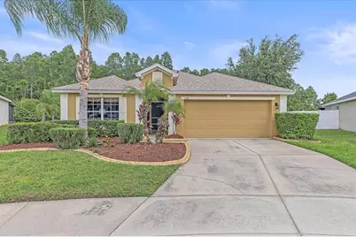 5618 Sheer Bliss Loop, Land O Lakes, FL 34639 - Photo 1
