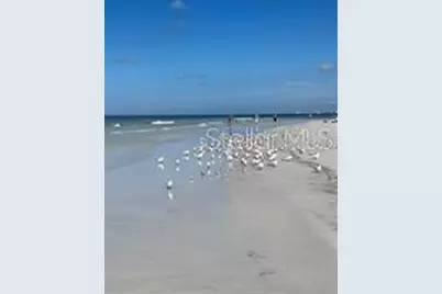 308 Canal Road, Sarasota, FL 34242 - Photo 45