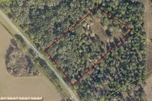 Cr 49, Live Oak, FL 32060 - Photo 1