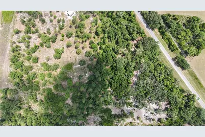 Cr 49, Live Oak, FL 32060 - Photo 7