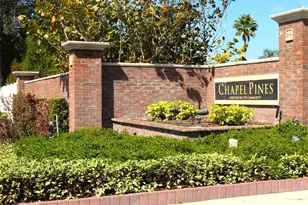 30754 Midtown Ct, Wesley Chapel, FL 33545 - Photo 33