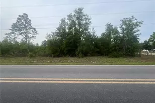 Tbd School St, Bronson, FL 32621 - Photo 1