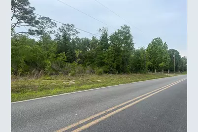 Tbd School Street, Bronson, FL 32621 - Photo 3