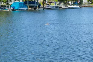 3861 N Ringdove Point, Crystal River, FL 34428 - Photo 41