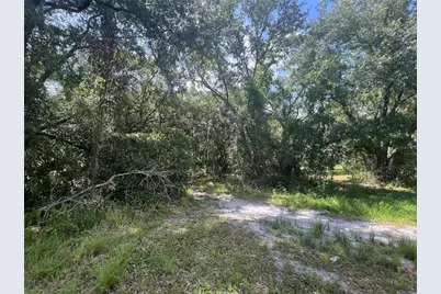 1308 E Alsobrook Street, Plant City, FL 33563 - Photo 11