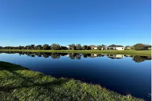 1539 Ormond Terrace, Parrish, FL 34219 - Photo 47