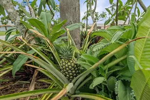 202 Bedford Trail, Sun City Center, FL 33573 - Photo 17