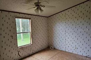 14455 NW 284th St, Okeechobee, FL 34972 - Photo 7