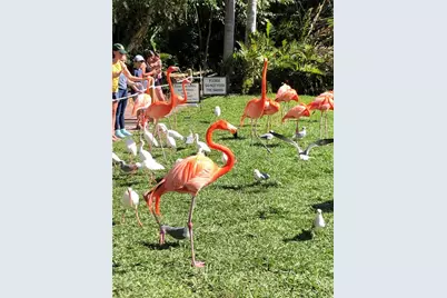 3605 Iroquois Avenue, Sarasota, FL 34234 - Photo 43