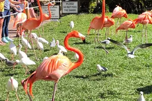 3605 Iroquois Ave, Sarasota, FL 34234 - Photo 43