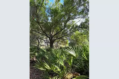3045 Logue Road, Myakka City, FL 34251 - Photo 15