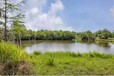 3045 Logue Road, Myakka City, FL 34251 - Photo 17