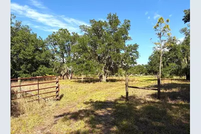3045 Logue Road, Myakka City, FL 34251 - Photo 13