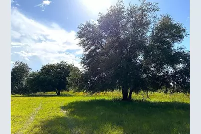 3045 Logue Road, Myakka City, FL 34251 - Photo 17