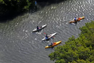 1921 Monte Carlo Dr, Sarasota, FL 34231 - Photo 33