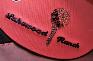 7717 US Open Loop, Lakewood Ranch, FL 34202 - Photo 95