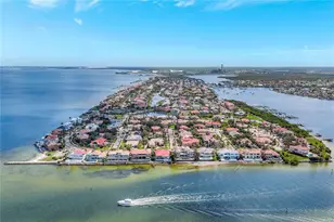 6219 Golden Nettle Dr, Apollo Beach, FL 33572 - Photo 33