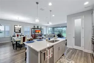 6219 Golden Nettle Dr, Apollo Beach, FL 33572 - Photo 7