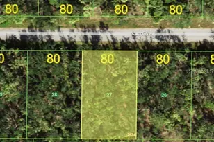 14315 Cannel Ln, Port Charlotte, FL 33953 - Photo 1