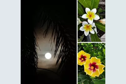 10315 Cortez Road W #34-7, Bradenton, FL 34210 - Photo 25