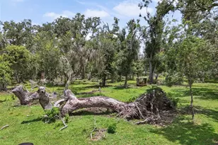 15780 Wilson Rd, Sarasota, FL 34240 - Photo 57