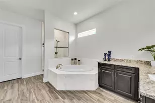 3379 Chestertown Loop, Bradenton, FL 34211 - Photo 41