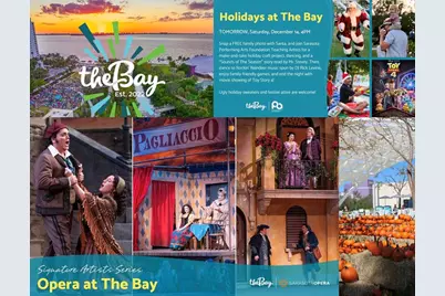 988 Blvd Of The Arts #109, Sarasota, FL 34236 - Photo 81