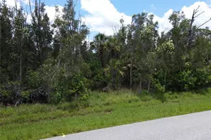 14120 Myakka Ave, Port Charlotte, FL 33953 - Photo 13