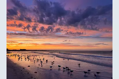 3954 Hamilton Club Circle #14, Sarasota, FL 34242 - Photo 51