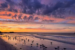 3954 Hamilton Club Cir, Sarasota, FL 34242 - Photo 51