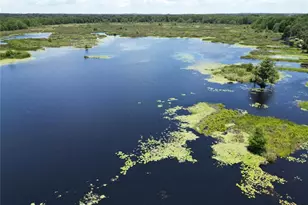 8781 S Lakeshore Dr, Floral City, FL 34436 - Photo 3