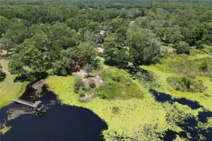 8781 S Lakeshore Dr, Floral City, FL 34436 - Photo 45