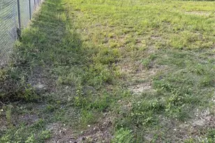 2513 NE 9th Ave, Cape Coral, FL 33909 - Photo 9