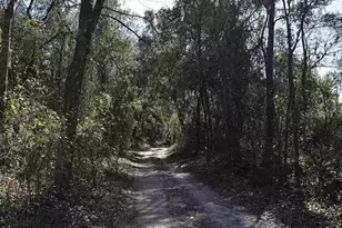 1123 NW 192nd Ave, Gainesville, FL 32609 - Photo 17