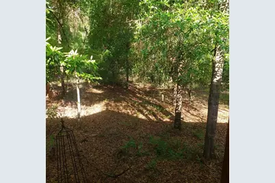 28063 31st Road, Branford, FL 32008 - Photo 25