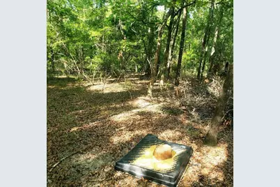 28063 31st Road, Branford, FL 32008 - Photo 21